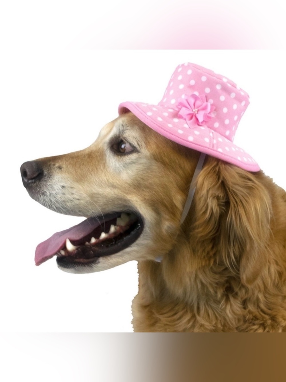 Vibrant Life Dog Polka-Dotted Bucket Hat